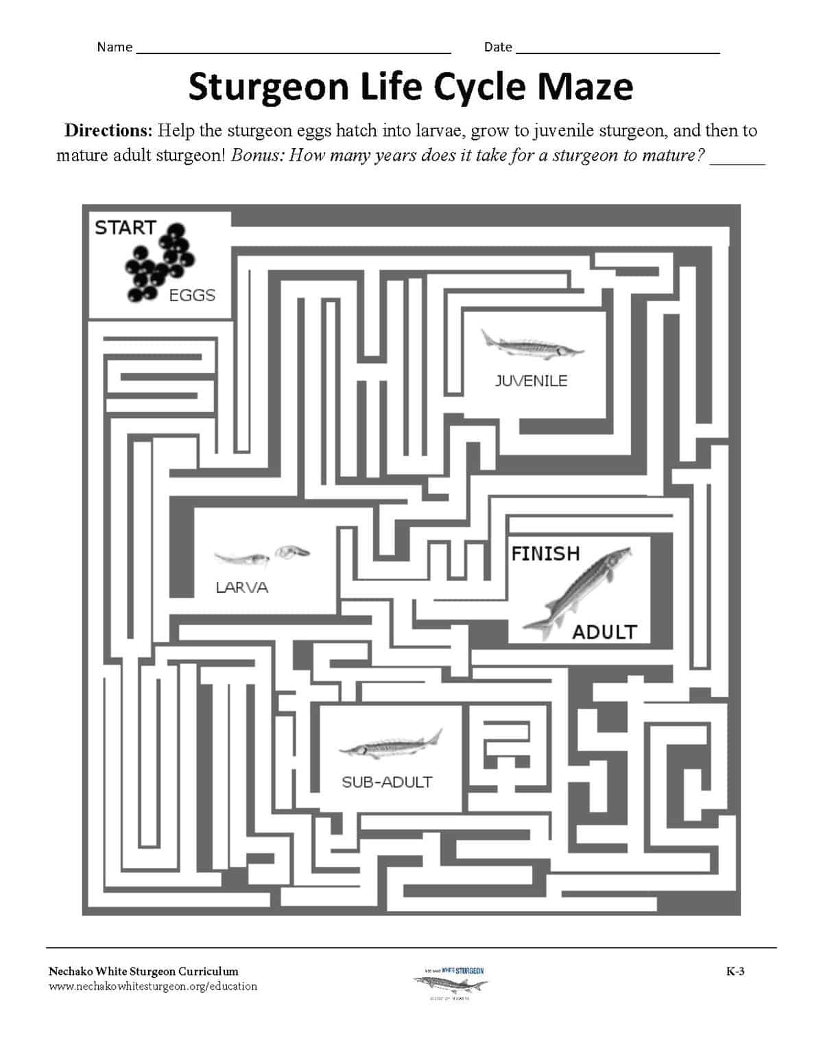 NWSRI Education - Life Cycle Maze K-3