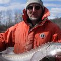 Large juvenile sturgeon