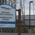 Nechako White Sturgeon Conservation Centre