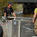 Hatchery - Transporting Sturgeon