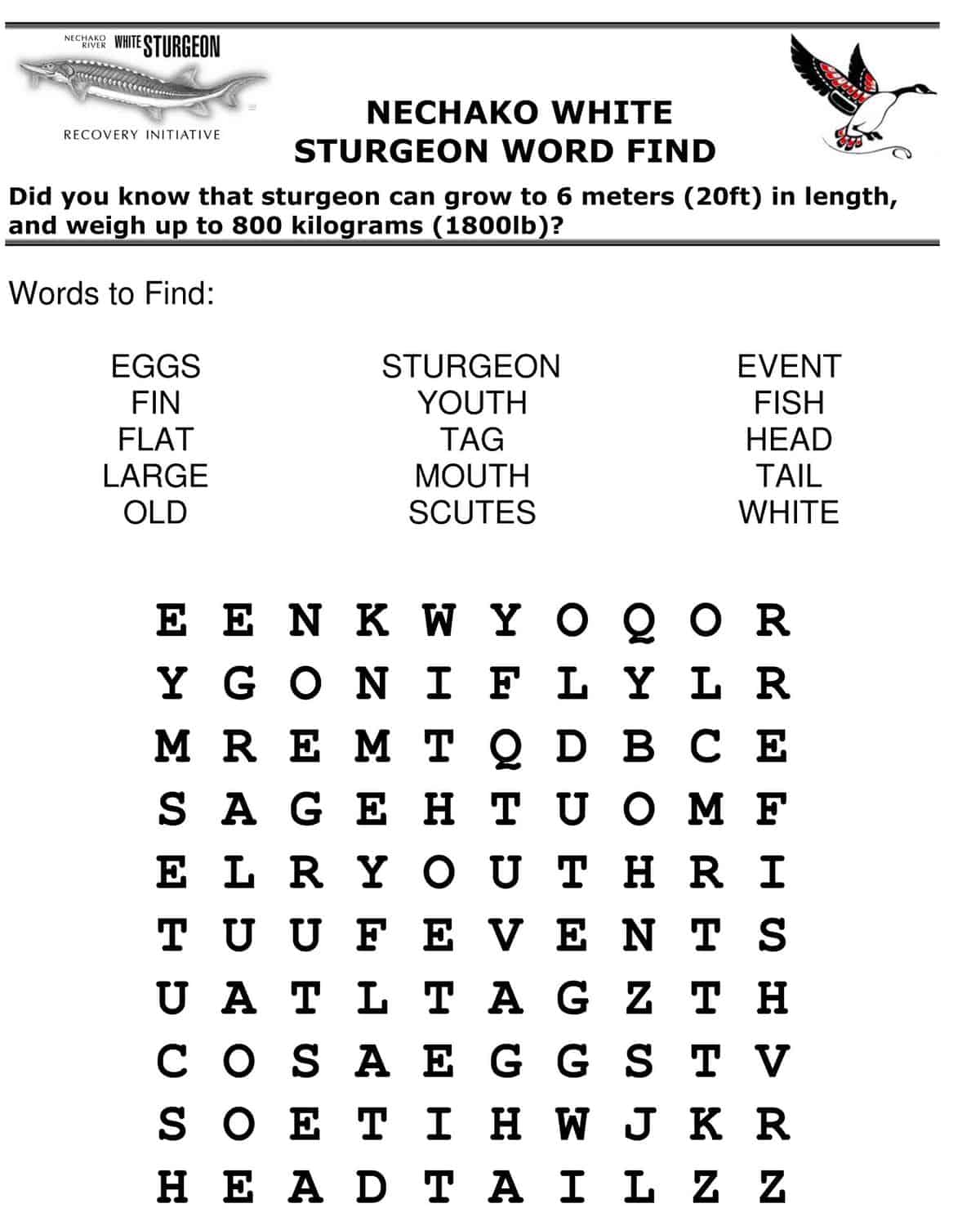 Word Search 1